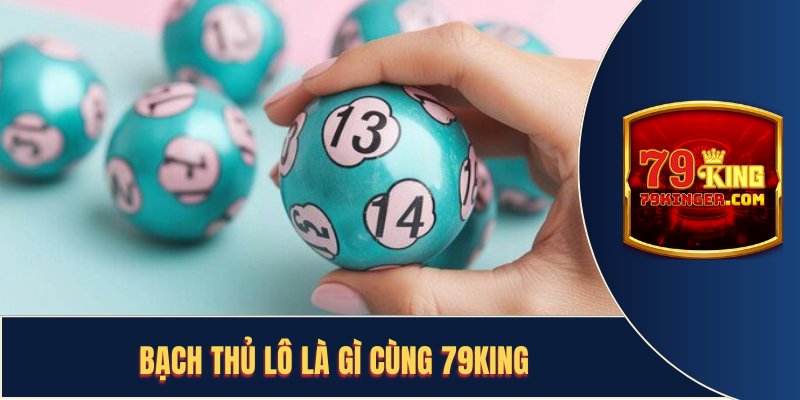 Bạch Thủ Lô Là Gì Cùng 79KING Tìm Kiếm Cơ Bắt Chúng Dễ Dàng