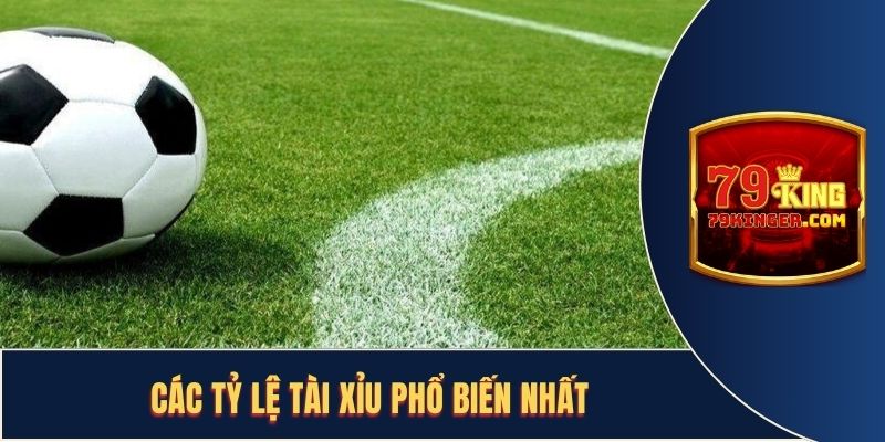 Các hình thức đặt cược tại kèo tài xỉu 79KING